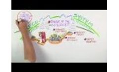 Welcome to the Active Grid - Video