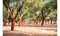 NatureWaves - Cork Nature-based Solution