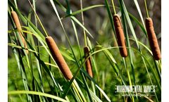 NatureWaves - Nature-based Solution Floating Islands Wastewater Treatment