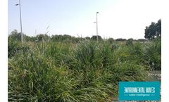 NatureWaves® - Floating Island Wastewater Treatment