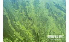 SonicWaves - Microalgae and Cyanobacteria Elimination
