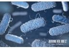 Legionella Elimination