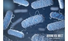 Legionella Elimination