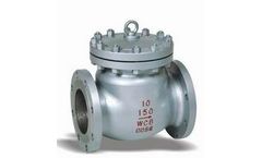 Jireh - Model JR -CK-01 -  API - Swing Check Valve