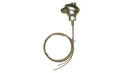 Feilong - Multipoint Sheathed Thermocouple