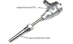 Feilong - Model K Type - Explosion-Proof Sensor