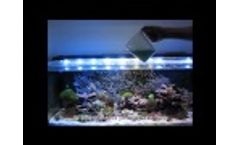 PhytoBloom Reef Feed: perfect for reef inhabitants - Video