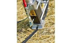 Staple Wasp - Patented Water Line Shoe