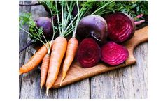 Liquid Organic Fertilizer for Vegetables