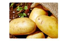 Liquid Organic Fertilizer for Potatoes