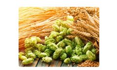 Liquid Organic Fertilizer for Cereal Grains