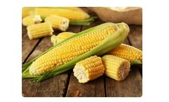 Liquid Organic Fertilizer for Corn