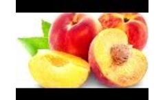 RezFree | Here begins the era of Residue-Free Agriculture - Video