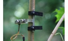 Ecomatik - DD-S series - Small Diameter Dendrometer