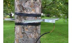 Ecomatik - DD-L series - Large Diameter Dendrometer