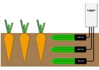 Ecomatik - SMT100 - Soil Moisture and Soil Temperature Sensor