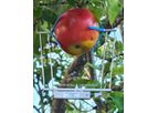 Ecomatik - DF series - Fruit and Vegetable Dendrometer