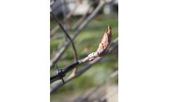Ecomatik - T-Series - Agriculture Monitoring - Temperature Sensors