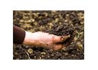 Remediation Services