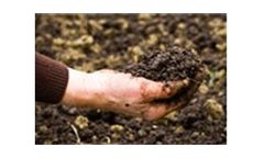 Remediation Services
