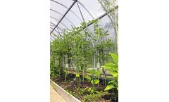 Sol Chip - Model SCC-S433 - Evaluation Kit