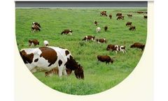 Sol Chip - Livestock Sensors