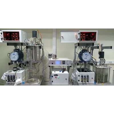 Biogas Analyzer solutions for laboratory research sector - Monitoring ...