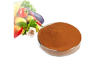 Green Top Biological - Anti-Hard Water Fulvic Acid Powder