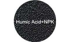 Seaweed Extract Powder