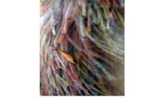 Biomatrix Dynamic - Biofilter Media