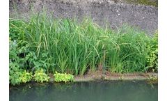 Biomatrix - Model 2D - Island Modules