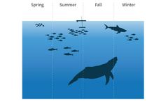 Unmanned Ocean Robots for Environmental Assessment - Fish & Marine Mammal Monitoring