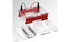 Biometra - Model Compact Multi-Wide - Submerged Gel Electrophoresis