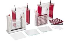 Biometra - Model Eco-Line - Polyacrylamide Gel Electrophoresis