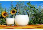 Analytik Jena - Web Seminar Analyis of Dairy Products