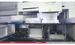 Video CyBio FeliX Extraction Workflow - Video