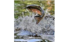 EcoBioClean - Model 101 COFW - Oil/Chemical Contamination Products