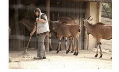 EcoBioClean - Model 105 BW - Oil/Chemical Contamination Products