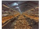 Landmeco - Flex Raise Aviary System