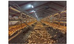 Landmeco - Flex Raise Aviary System