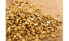 Coconut Shell based Activated Carbon for Gold Purification industry