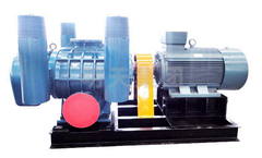 Mingtian - Model MTR Series - High Negative Pressure Roots Vacuum Pumps