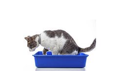 Ozone generator for animal/pet odors