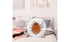 Ozone generator for Apartment odors/ hotels/bed bug infestation