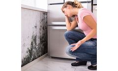 Ozone generator for Mold removal