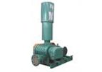 Airus - Airus Lobes Blower & Vacuum Pump