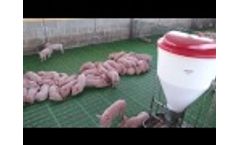 Tigsa - Destete Video