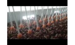 Tigsa - Smart Nest 2 Video