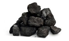 Do You Need A Biomass Carbonization Plant?