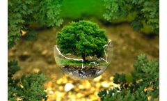 Carbon Credit Market: Driving Sustainable Change through Market Mechanisms